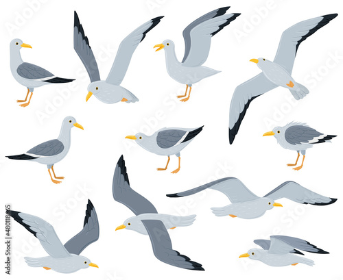 Cartoon seagull birds, sitting, flying and walking gulls birds. Marine seabird, atlantic gulls characters isolated vector illustration set. Seagull bird