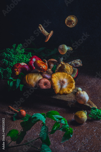 Forest mushrooms aestetics in bright colours.