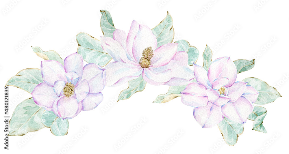Magnolia bouquets clip art. Watercolor spring floral botanical collection. Elegant magnolia flowers and leaves.