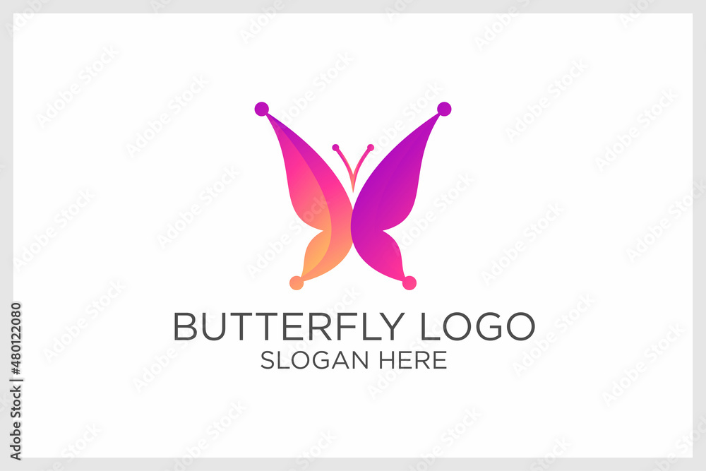 butterfly logo. premium vector