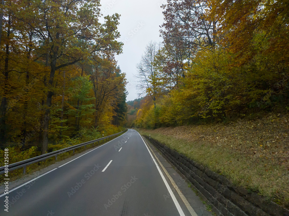 view from the car window on the road among the autumn forest