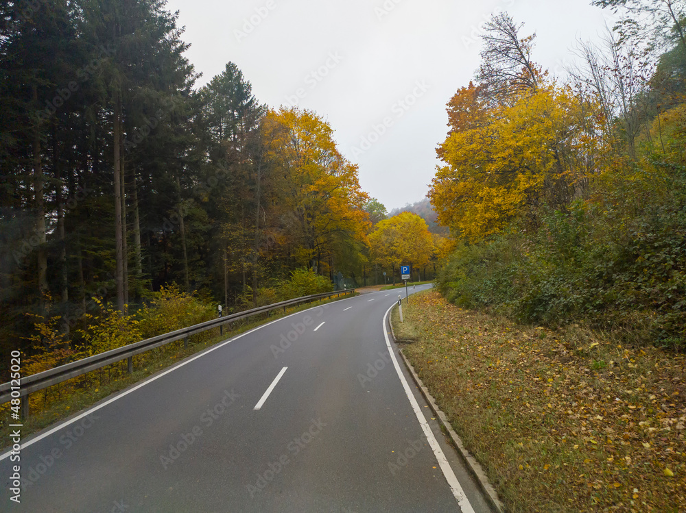 view from the car window on the road among the autumn forest view from the car window on the road among the autumn forest