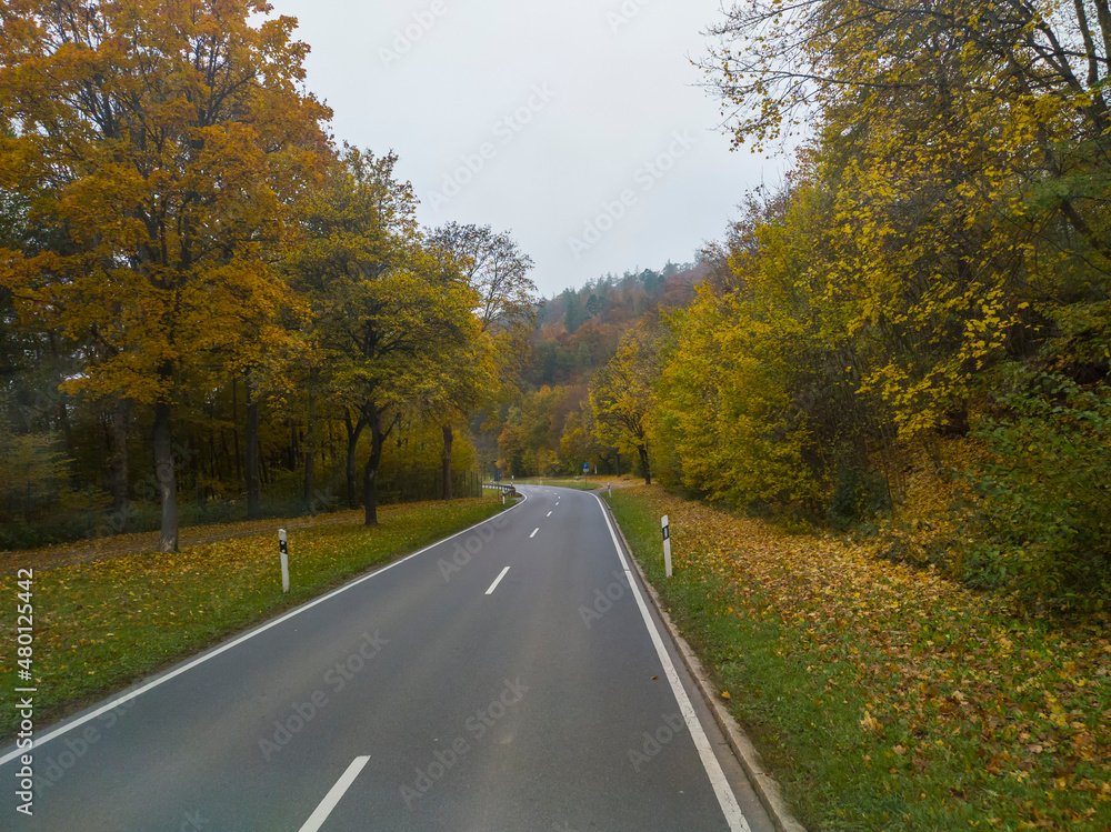 view from the car window on the road among the autumn forest view from the car window on the road among the autumn forest