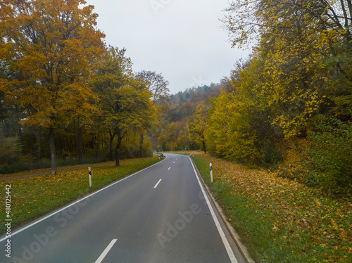 view from the car window on the road among the autumn forest