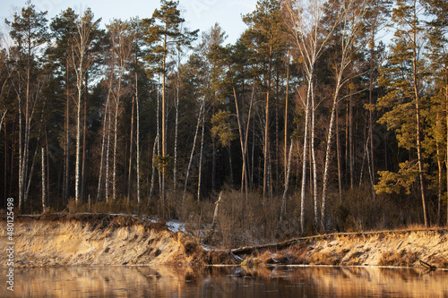 Fototapeta Naklejka Na Ścianę i Meble -  River bank, dry grass, snow and frozen water