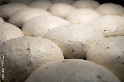 Close-up of Homemade kosher burgers buns on a baking sheet. Raw buns