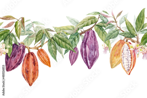 Beautiful seamless tropical pattern with hand drawn watercolor cocoa fruits and leaves. Stock illustration.