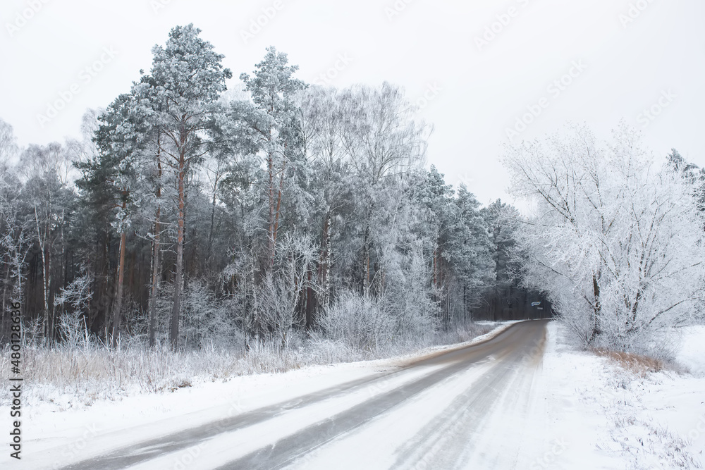Winter snowy view with freezy trees. Season cold weather Winter snowy view with freezy trees. Season cold weather