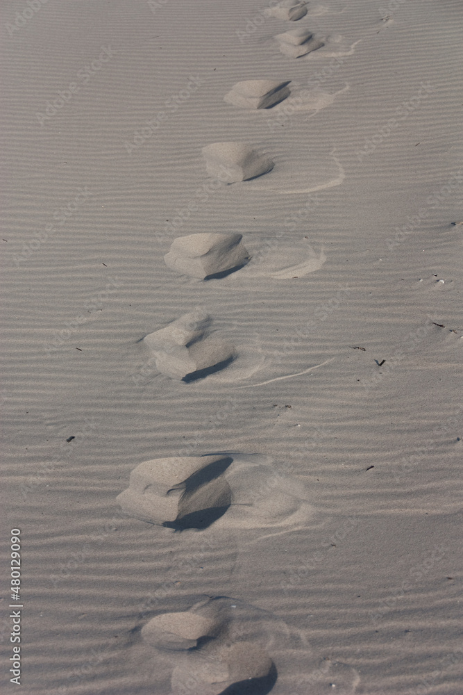 Spuren im Sand - obrazy, fototapety, plakaty 