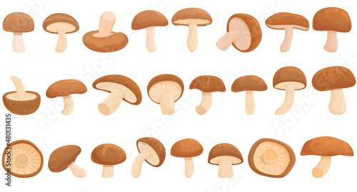 Shiitake mushroom icons set cartoon vector. Fungus plant. Autumn food