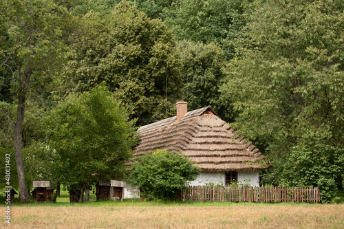 polska wieś, stara drewniana chata wśród drzew