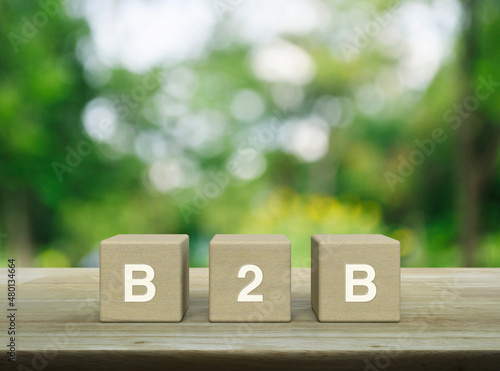 B2B acronym on wood block cubes on wooden table over blur green tree in park, Business to business marketing and strategy concept
