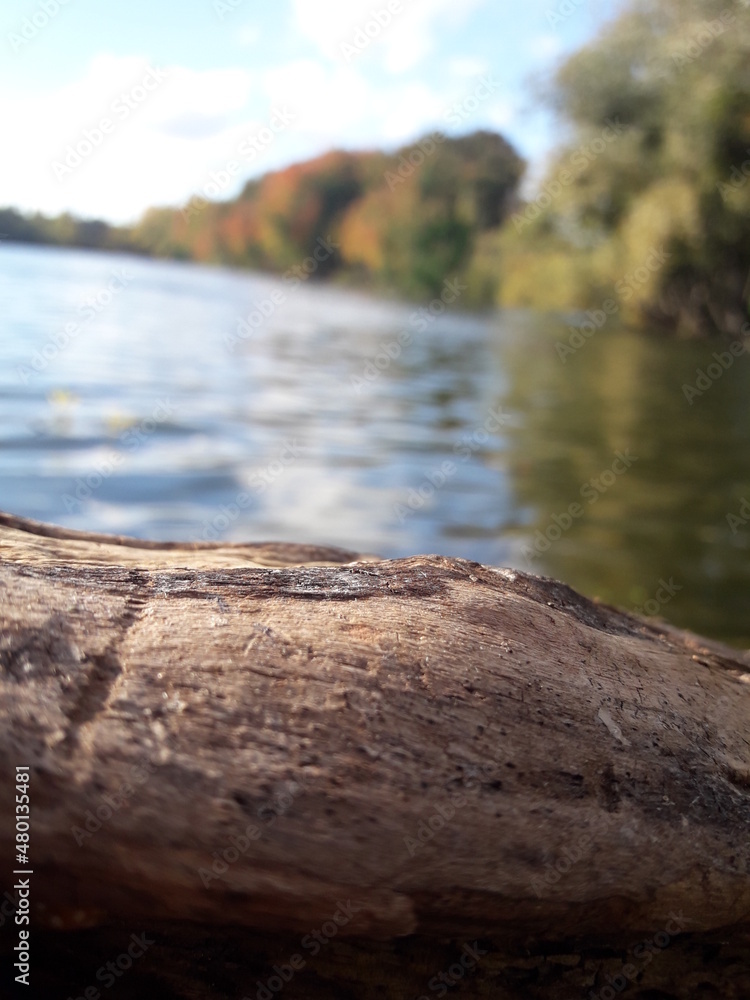 Fototapeta premium Photo de pêche, de nature, de soleil, de vélo ainsi que de fleuve.