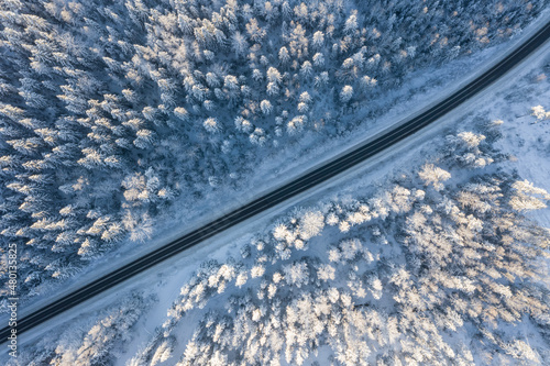Winter forest with road top view. Snowy landscape, trees in the snow, frosty weather. © Mikhail