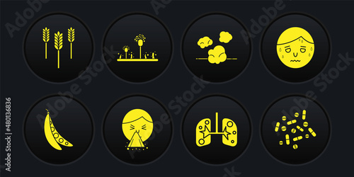 Set Kidney beans, Man with excessive sweating, Handkerchief to his runny nose, Lungs, Dust, Mold, Medicine pill or tablet and Wheat icon. Vector