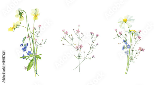 Watercolor bouquets of chamomile  violet  wild pink and blue flowers