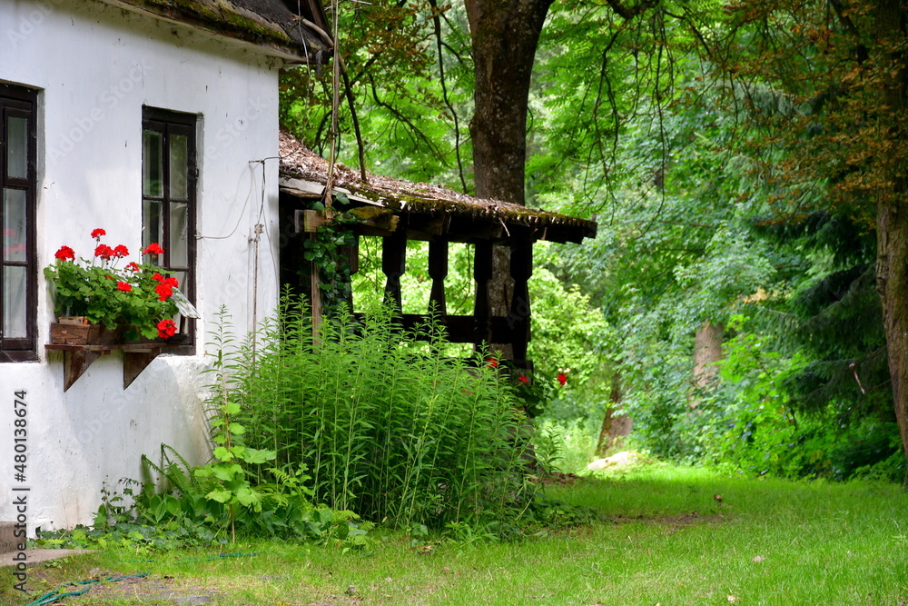 A close up on an old abandoned house with its roof almost entirely covered with vines and with other flora and with some decorations around the windows seen in the middle of a dense forest or moor A close up on an old abandoned house with its roof almost entirely covered with vines and with other flora and with some decorations around the windows seen in the middle of a dense forest or moor