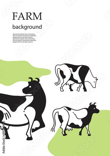 Cows in the pasture. Sample brochure. Agricultural background.