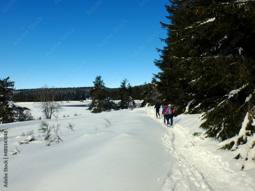 Fototapeta premium du col des Pradeaux à Prabouré