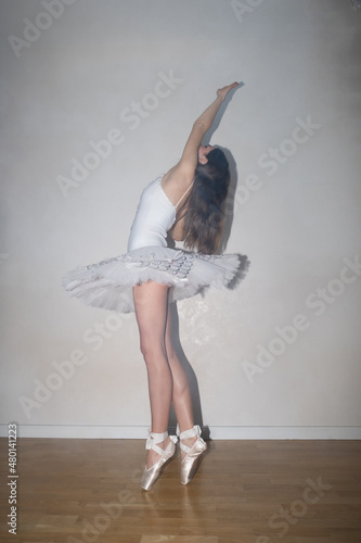 Ballerina posing on white background