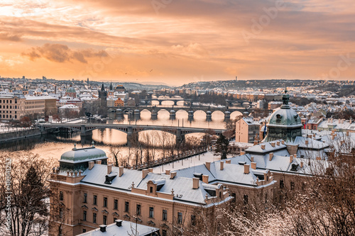 Canvas Print city, architecture, prague, church, view, europe, town, building, cityscape, cat