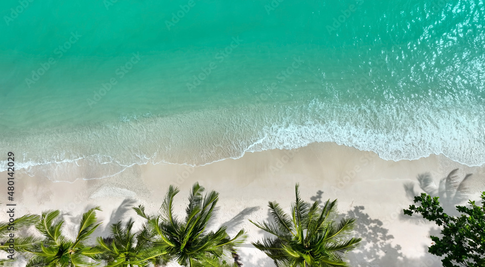 Summer background of Aerial view the tropical beach background with palm trees and white sand beach seashore