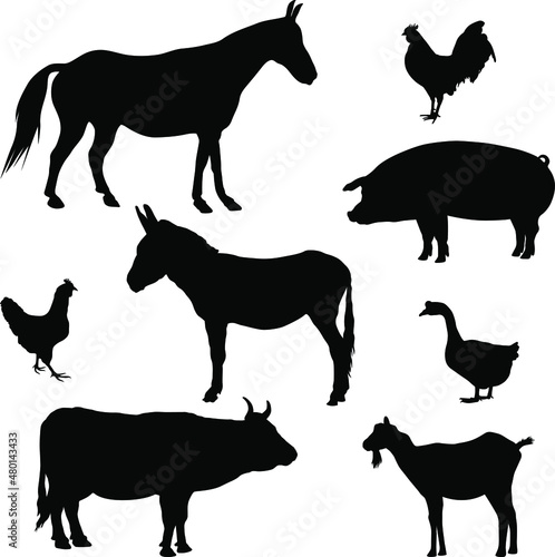 Farm animals silhouettes. Collection of domestic cattle. Vector illustration set isolated on white.