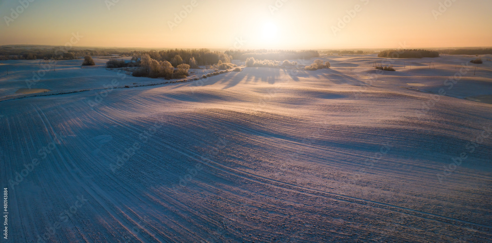 Fototapeta premium Winter aerial panorama with wavy meadows covered in snow, early morning light