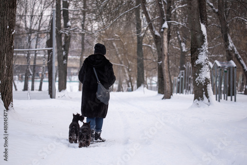 a girl in a fur coat and jeans walks with her two dogs in a winter park