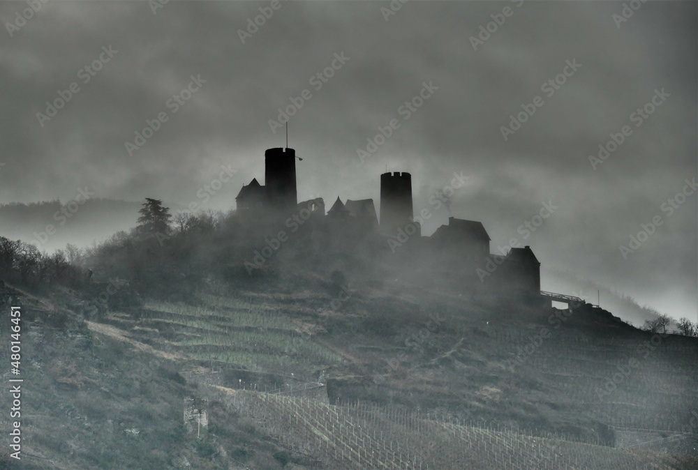 Burg Thurant mit Weinbergen im winterlichen Nebel in Alken an der Mosel