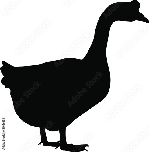 Goose silhouette. Domestic cattle. Vector illustration isolated on white.
