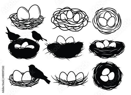 Set of bird's nest. Collection of nests with eggs and birds. Wildlife. Vector illusstration of birds house on whitee background.  © panaceaart