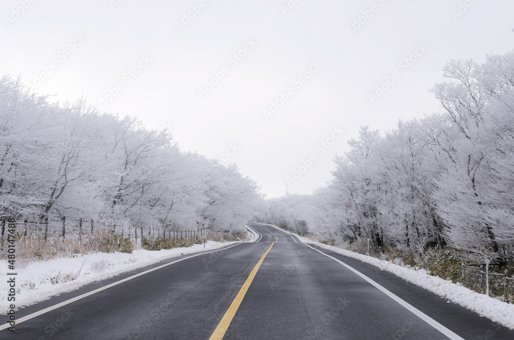 road in winter