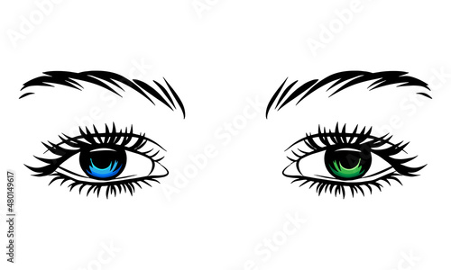 Women eyes sketch