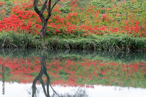 風景写真