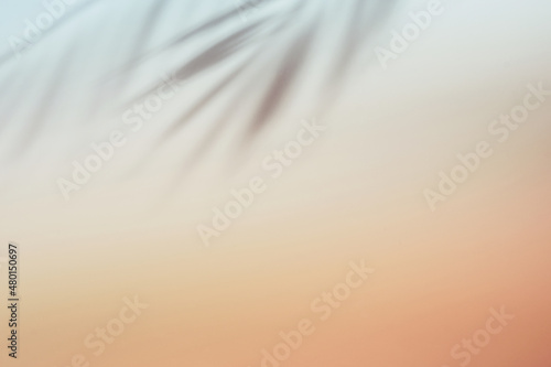 Natural palm leaves shadow on gradient paper background. Abstract pink tropical backdrop. Soft light