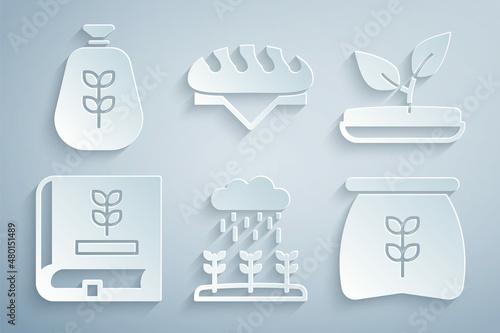 Set Plant sprouts grow in the rain, Sprout, Book about seeds, Bag of flour, Bread loaf and icon. Vector