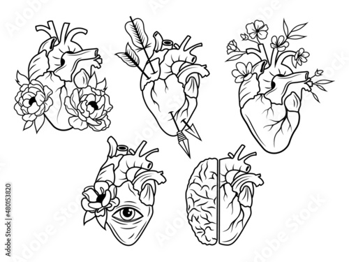 Set of flower human heart. Сollection of human heart with flowers, eye, arrow. Valentine card. Anatomy. Vector illustration on a white background. Tattoo.