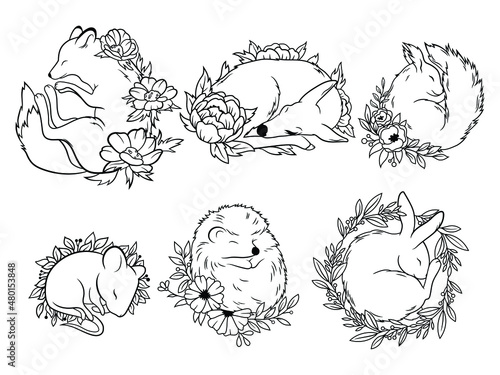 Set of cute sleeping animals. Collection of animals lying in flowers. Floral forest animals. Vector illustration on white background.