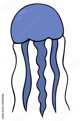Jellyfish. Long-eared aurelia. Colored vector illustration. Cartoon style. Marine invertebrate with tentacles. Ocean dweller. Isolated background. Idea for web design.