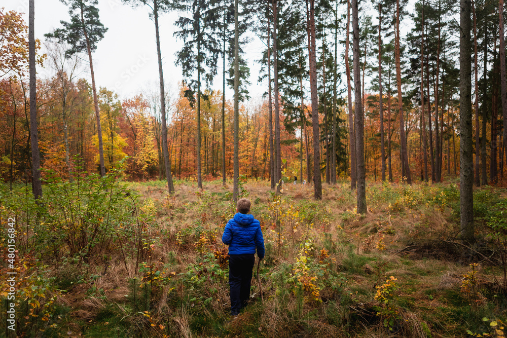 Boy in blue jacket in the forest within autumn landscape Boy in blue jacket in the forest within autumn landscape