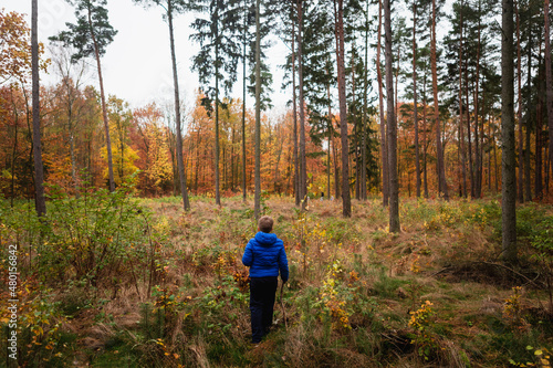 Boy in blue jacket in the forest within autumn landscape