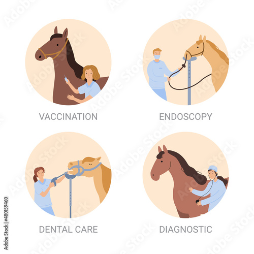 a vector image of different medical procedures