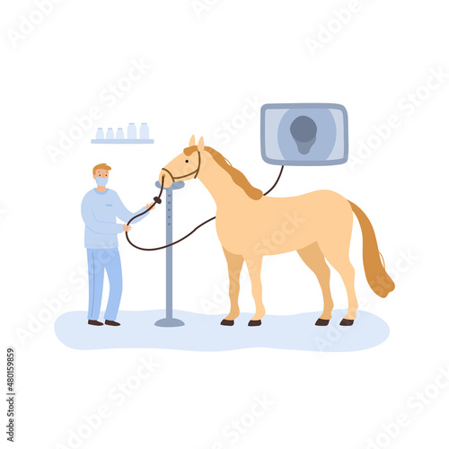 vector image of veterinarian and horse endoscopy