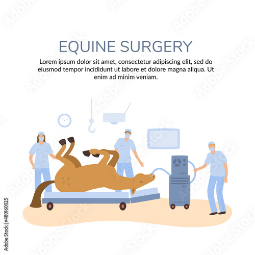 a vector banner of horse colics surgery