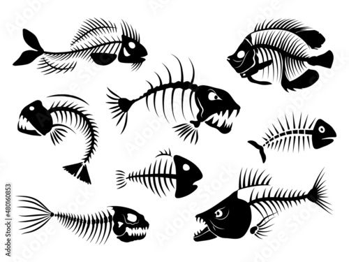 Set of silhouettes fish bones. Collection of marine fish skeleton. Vector illustration of dead fish on white background. Sea inhabitants. Tattoo.