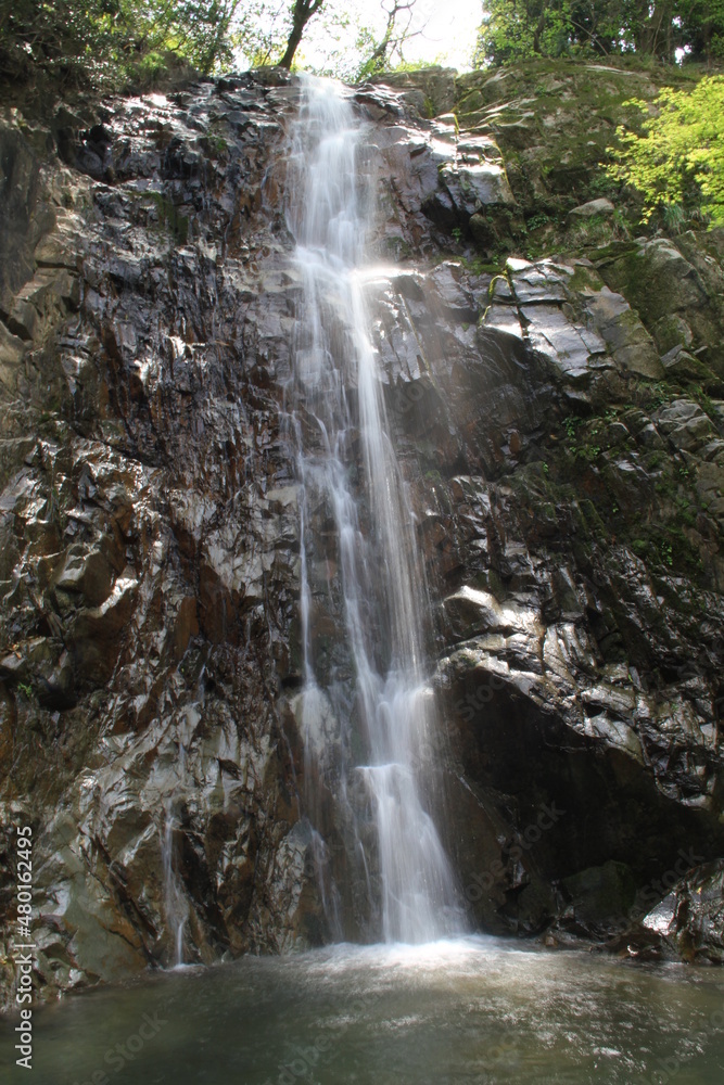 Obraz premium 轟の滝（香川県）