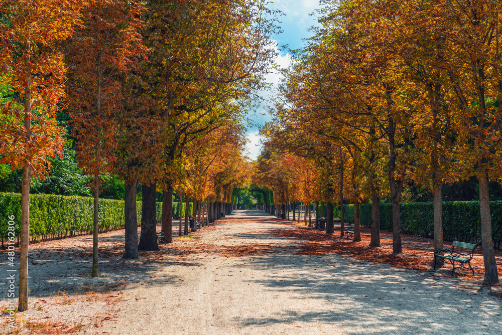 Walk in the park during autumn 