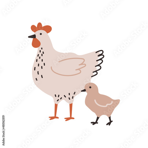 The beige chicken with chick. Chicken farm. Cartoon. Cozy vector illustration.