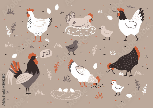 Set of colorful hen, chicken, chick, rooster and nest with eggs. Chicken farm. Cartoon. Cozy vector illustration.